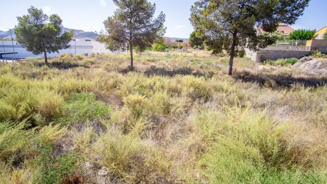 Parcela de terreno Urbano en zona av. Mediterráneo de Petrer — 4