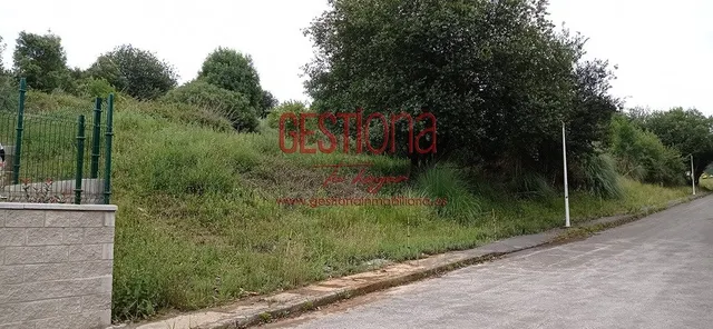 TERRENO URBANO EN SAN MAMES DE MERUELO. — 3