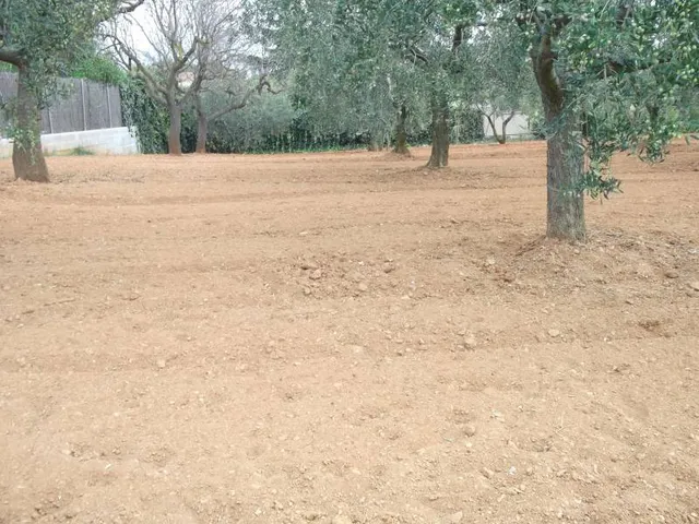 SOLAR EN LA MEJOR ZONA (HOSTALETS DE PIEROLA-ANOIA BARCELONA - foto 4