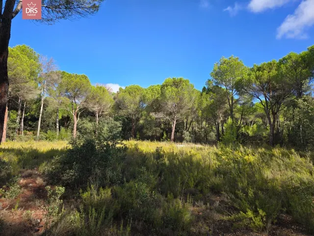 Terreno en urb pinares del jucar — 8