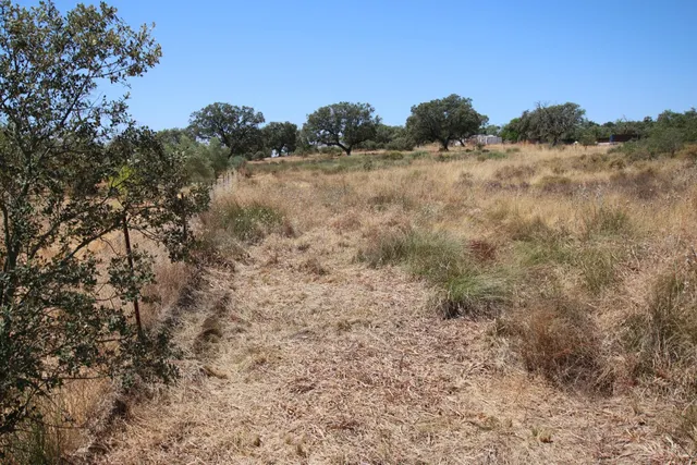 Parcela  en Urbanización Tres Arroyos. — 2