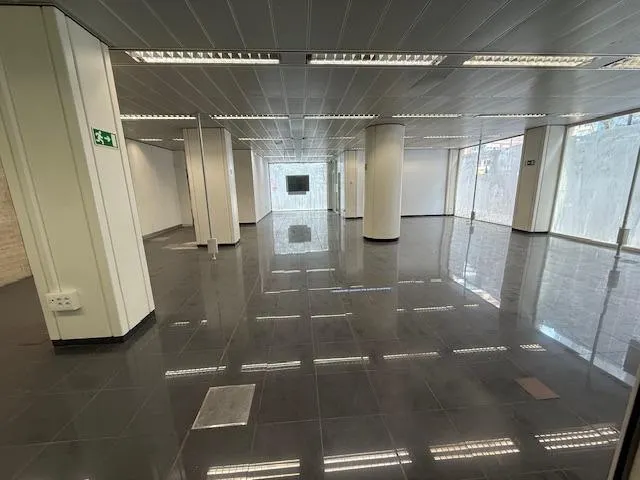 ALQUILER LOCAL CENTRICO, ZONA AVDA. GENERAL PRIMO DE RIVERA, 225M2. — 5