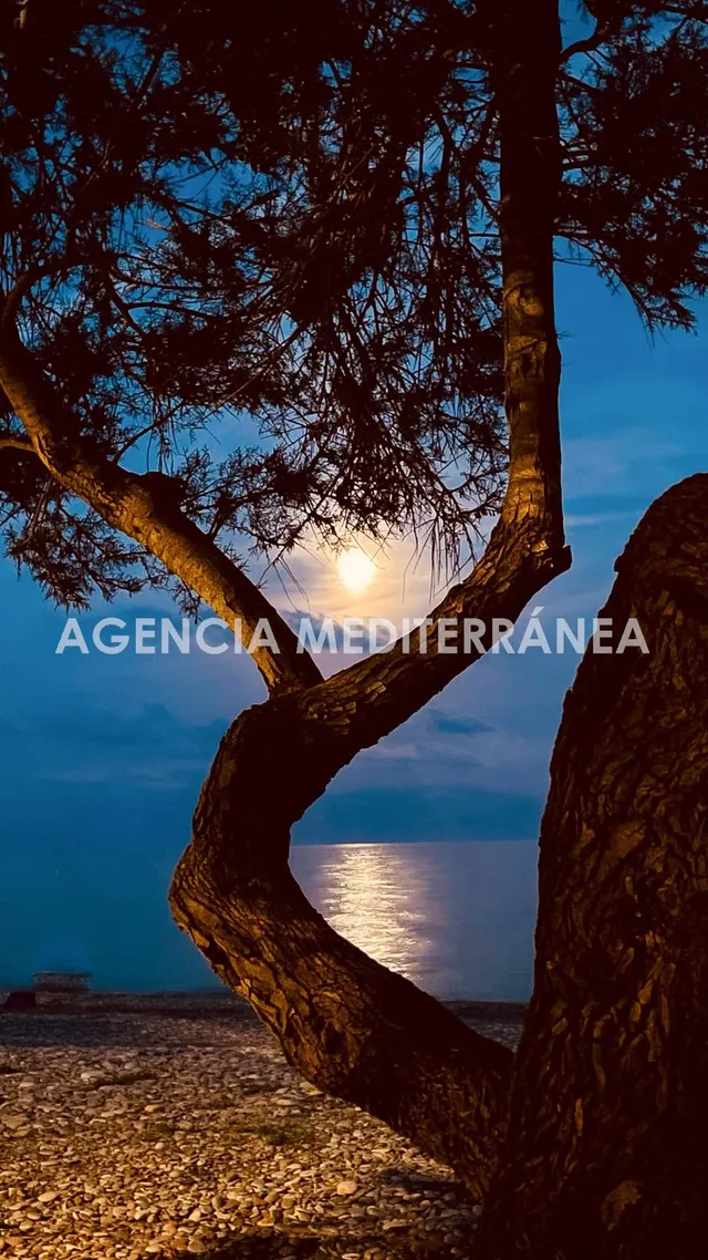 Dúplex en la playa de moncofa, a tan solo 100 metros del mar — 38
