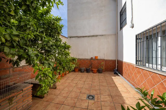 Casa adosada junto parada metro en Churriana — 47