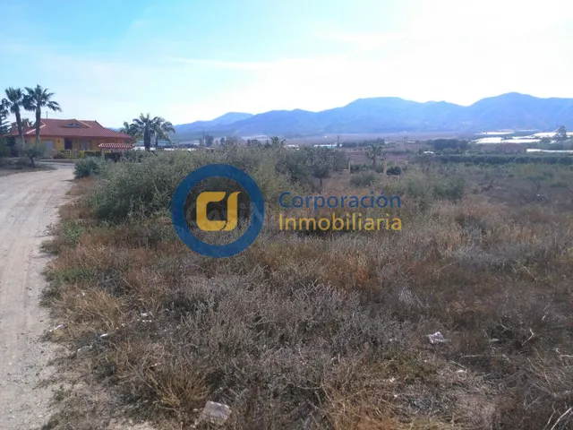 ESTUPENDA PARCELA PARA VIVIENDA — 3