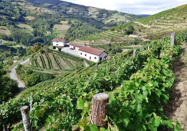 Piso en Venta en Corias (Cangas De Narcea) Asturias — 8