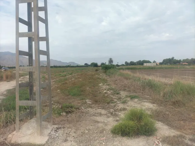 FINCA RÚSTICA EN COX — 7
