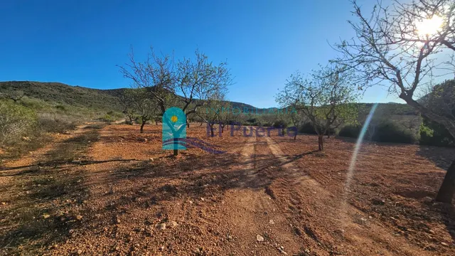GRAN TERRENO JUNTO A LOS ALTOS DE LAS PALAS – REF. 2112 — 8