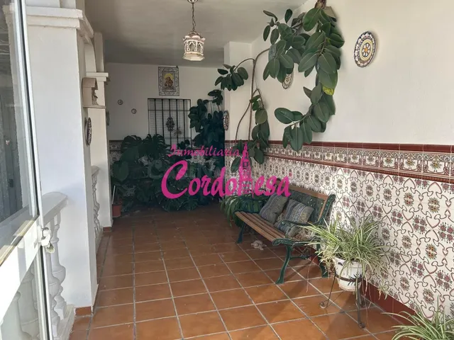 MAGNIFICA CHALET INDEPENDIENTE EN ALCOLEA, CON ZONA DE JARDI - foto 3