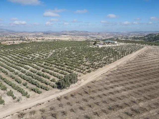 IMPRESIONANTE OPORTUNIDAD DE INVERSIÓN EN ALAMEDILLA!! — 9
