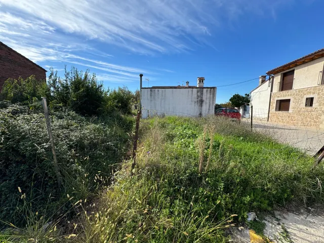 el carrascal — 14