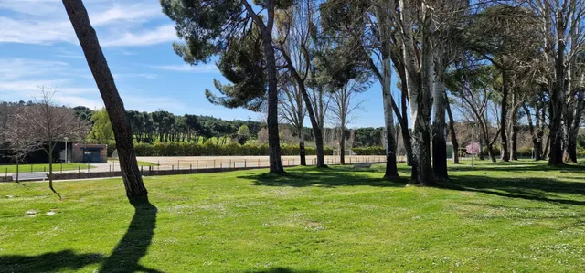 Magnifico piso para reformar en la exclusiva urbanización de La Rinconada — 50