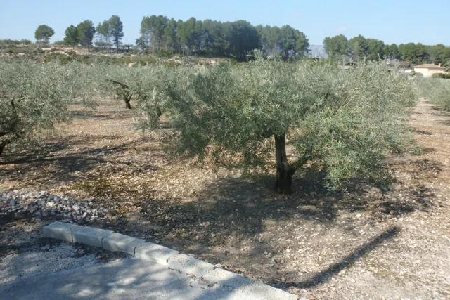 Terreno en la Ca Pallús - Ontinyent — 8