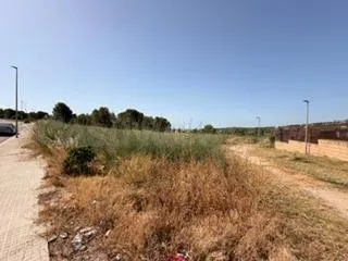 En ventas: 2 parcelas independientes - Santa Oliva - foto 3