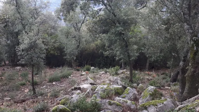 Terreno en venta Fogueres de Montsoriu — 3