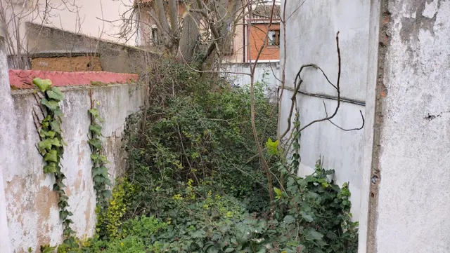 SE VENDE CASONA EN DUEÑAS — 14