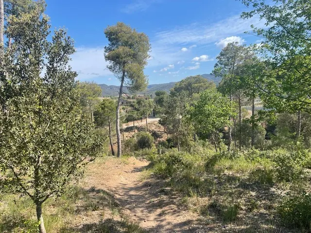 GRAN TERRENO EN CAL ANTON — 5
