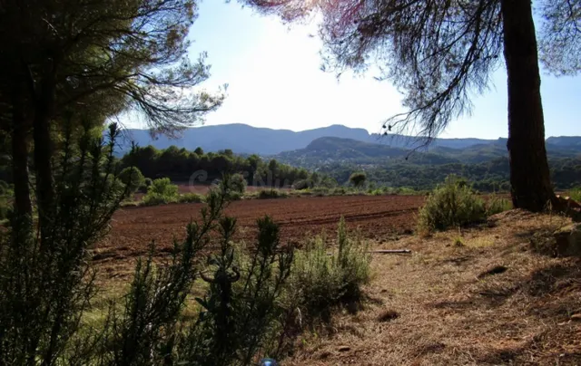 Finca Rústica con Amplias Posibilidades - foto 5