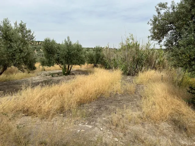 VENTA DE SOLAR URBANIZABLE DE 577 M2 EN CHIMENEAS — 18
