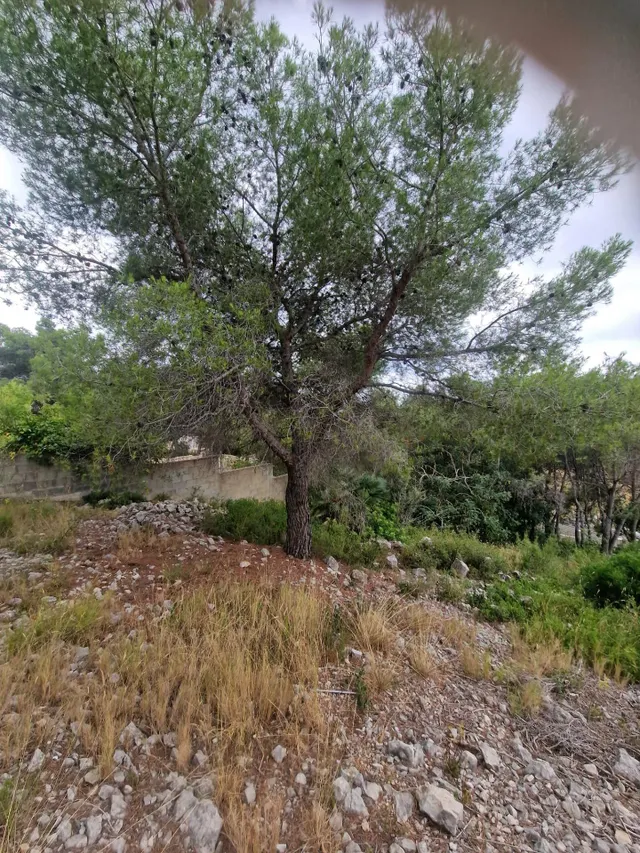 TERRENO URBANIZABLE EN LOS JARDINES DE COSTA CUNIT — 3