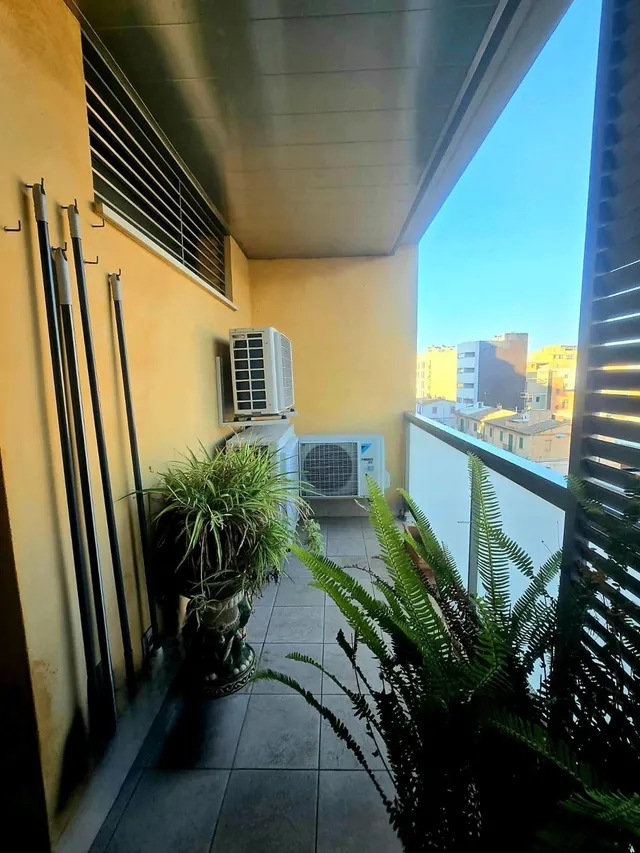 VIVIR EN MALLORCA CENTRO — 21