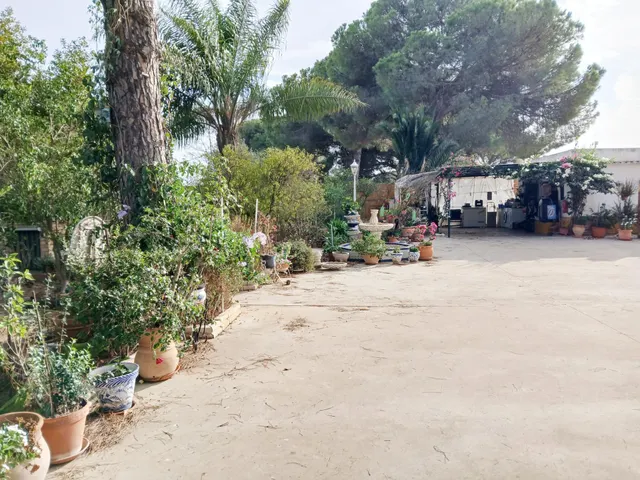 FINCA CON VIVIENDA EN BONARES (HUELVA) — 6