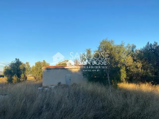 VENTA DE CHALET EN ASPE, ZONA CAMINO VIEJO DE HONDÓN — 36