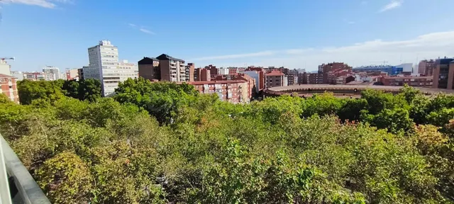 Piso en Venta: Oportunidad Única en el Paseo de Zorrilla, Ed - foto 2