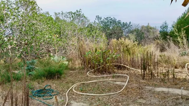 PARCELA RÚSTICA DE MÁS DE 15.000 M2 CON GRAN POTENCIAL DE IN - foto 5