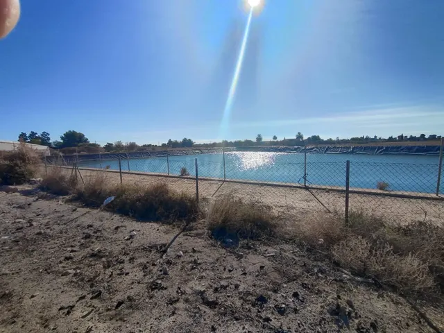 Solar en venta - Elche / Elx - foto 4