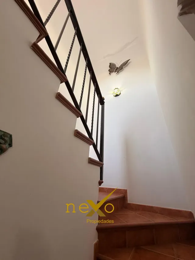 CASA DOS PLANTAS. ZONA NECRÓPOLIS — 20