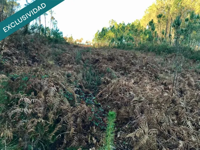 Terreno edificable en A Toxeira - foto 5