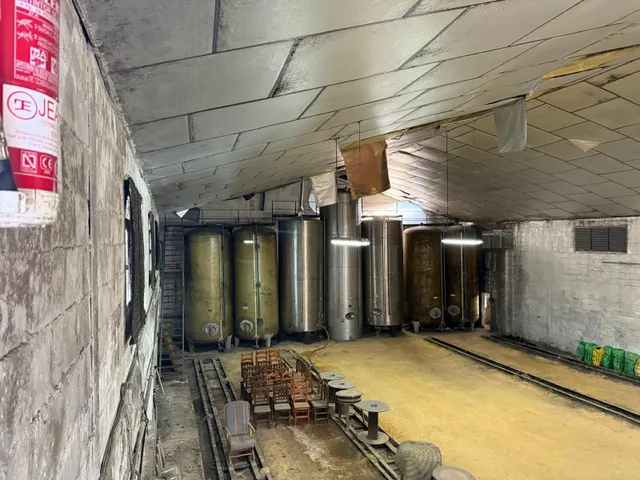 Viñedo de 24,40ha 1300m2 naves y 400m2 restaurante — 14