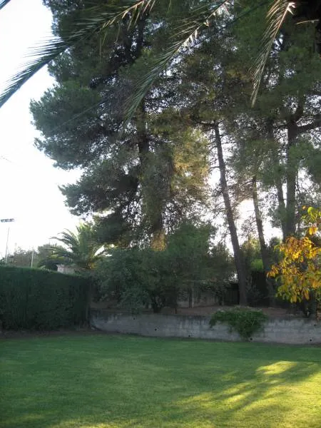 Chalet en Camí Els Presos - Ontinyent — 6