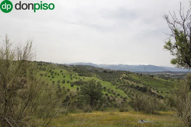 FINCA EN CORTIJO SAN JERÓNIMO (BARTODANO) — 27