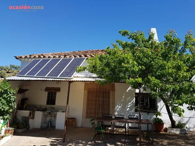 FINCA DE OLIVOS CON CORTIJO,NAVES Y MUCHA AGUA - foto 4