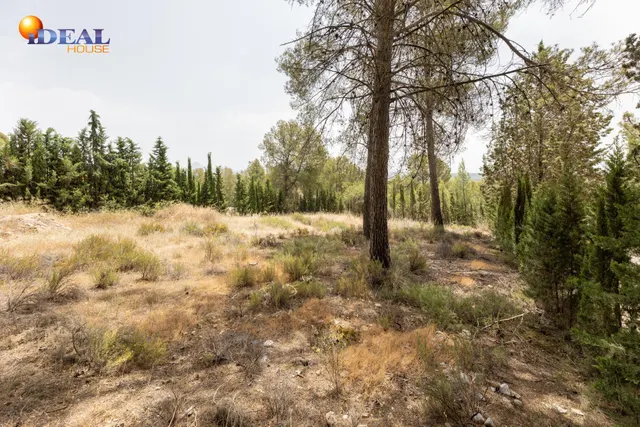 EXCLUSIVO TERRENO EN VENTA EN ALBOLOTE — 30