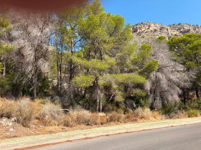 Terreno en venta Altea — 8