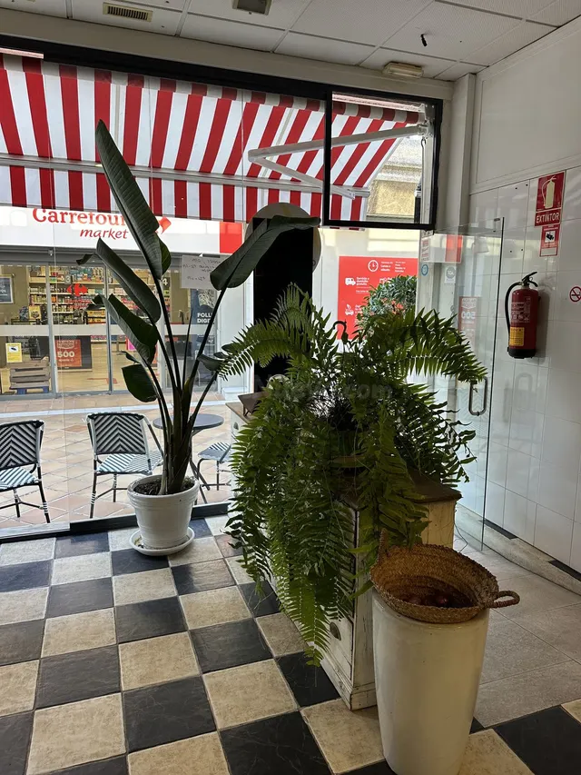 Restaurante 75m² en venta - Marbella — 4