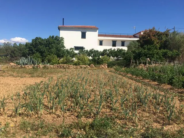 MASIA DEL 1960 CON 39000M2 DE TERRENO AGRICOLA AL LADO DEL MAR DE SANT SALVADOR — 3