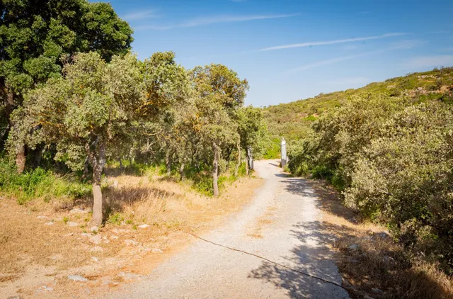Un refugio para el alma entre naturaleza y calma — 11