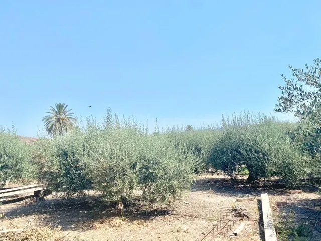 Nave industrial 240m² en venta - Campillo - foto 4