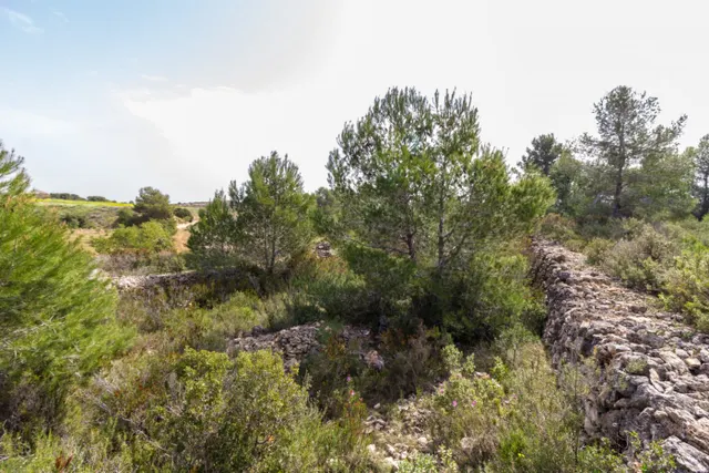 PARCELA ECONÓMICA EN MONSERRAT, EN LA URBANIZACIÓN COLINAS VENTA CABRERA. — 6