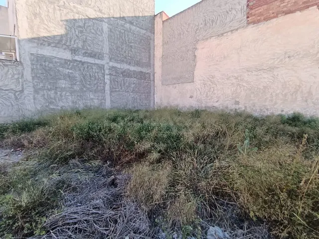 Solar en Venta junto a Calle Mula – Ideal para Tu Futuro Hog - foto 3