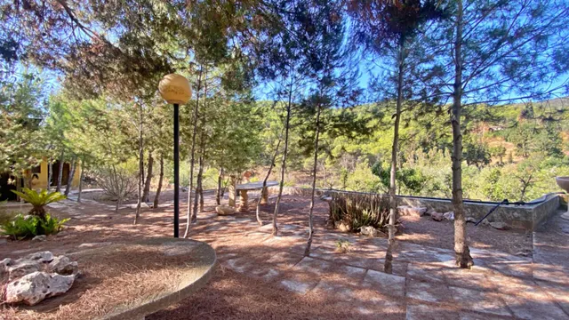 ESPECTACULAR FINCA DE 32 HECTAREAS IDEAL PARA DESCONECTAR O INVERSION PARA COMPLEJO RURAL — 29