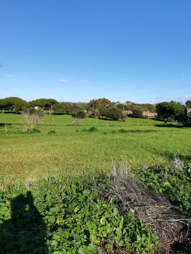 Casa de campo entorno rústico — 17