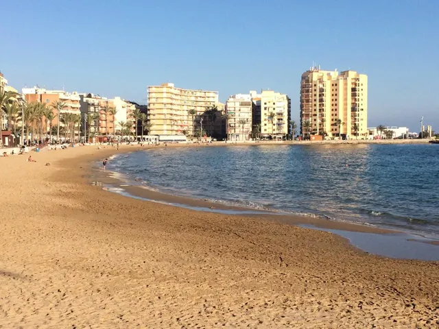Apartamento soleado 2 dormitorios con piscina — 17