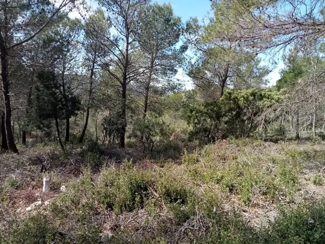 Parcela urbanizable de 955m2, en zona muy tranquila