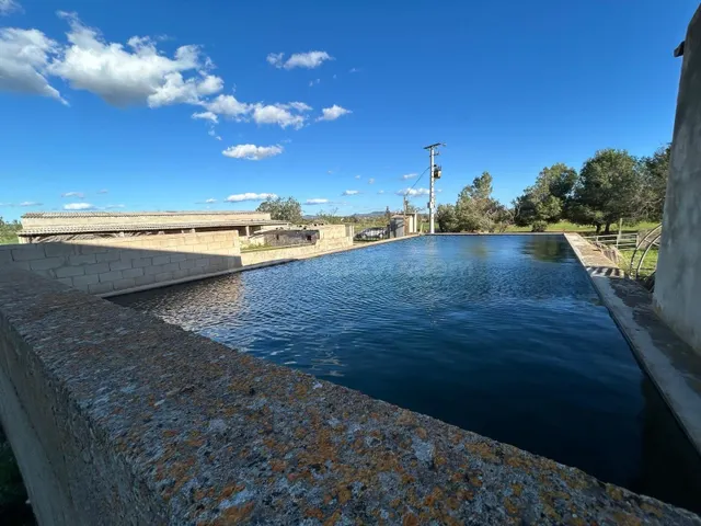 SE ALQUILA NAVE AGRARIA CON LUZ Y AGUA EN CAMPOS - foto 2