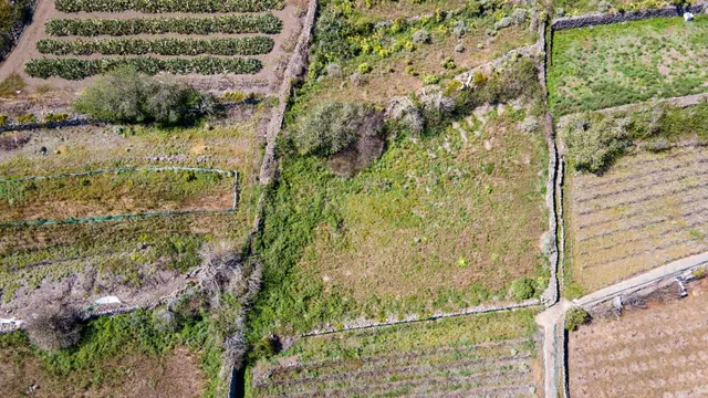 Suelo Rústico de Protección Agraria